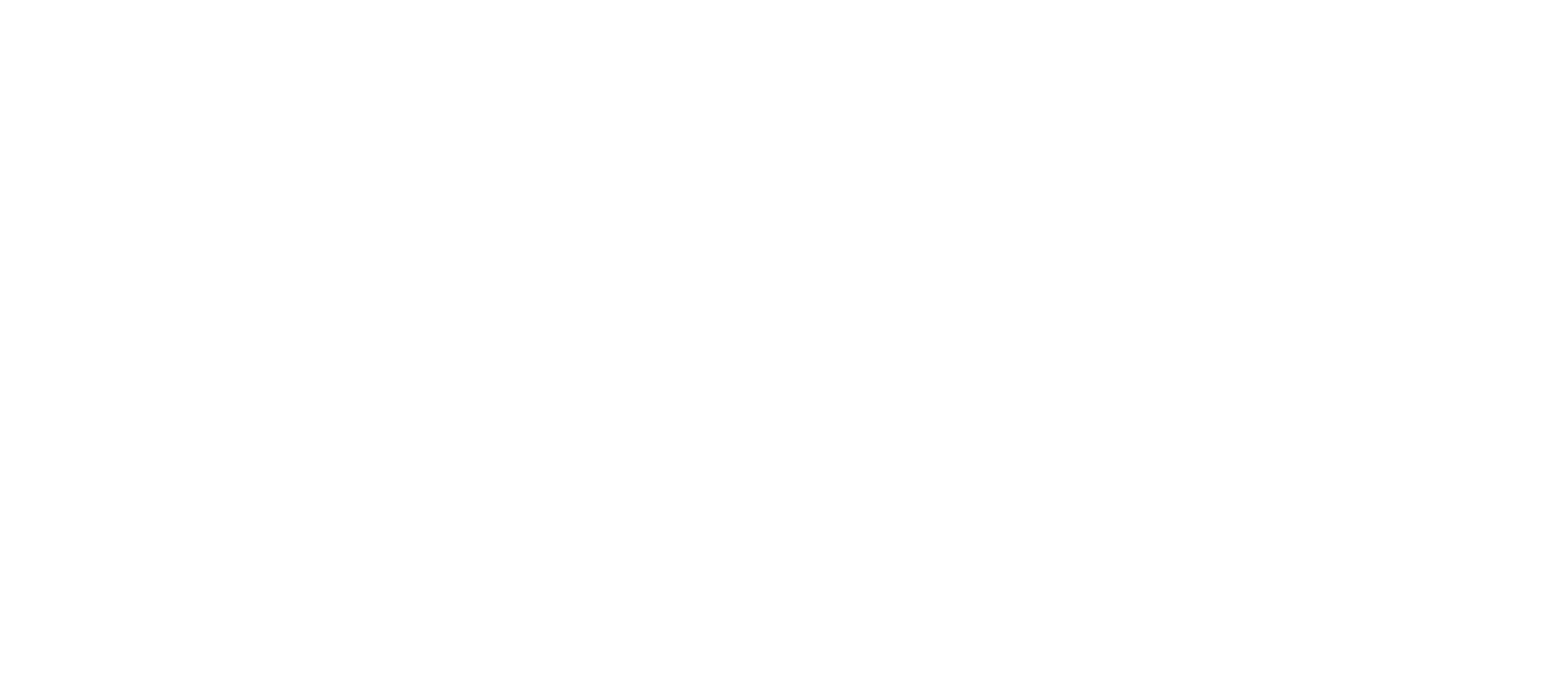 Bitkiden Logo
