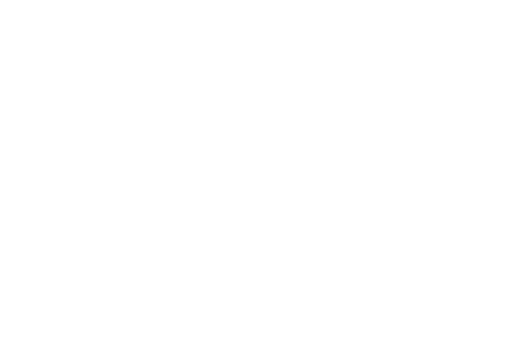Orva Logo