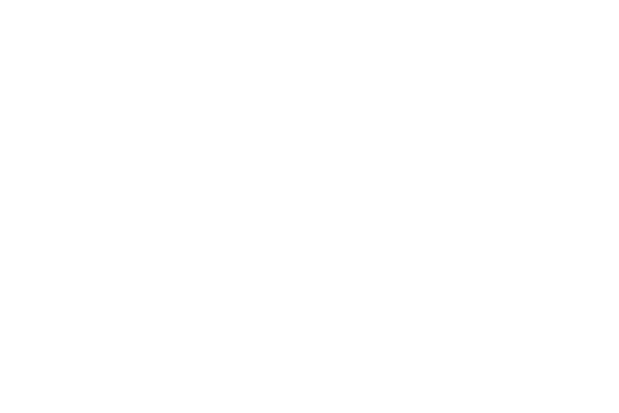Perrigo Logo