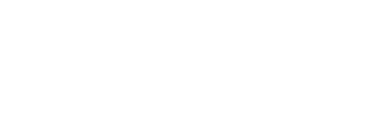 Wellcare Logo